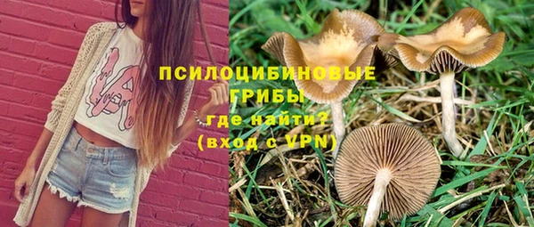 винт Саяногорск