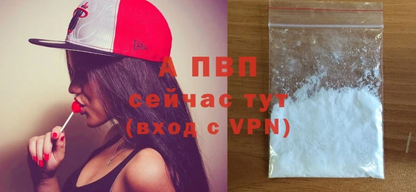 винт Саяногорск