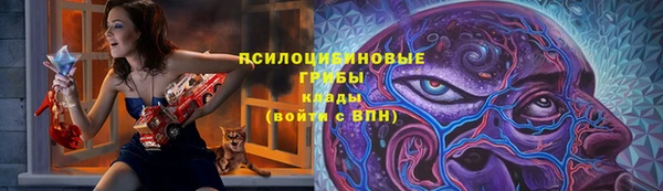 мдпв Сатка