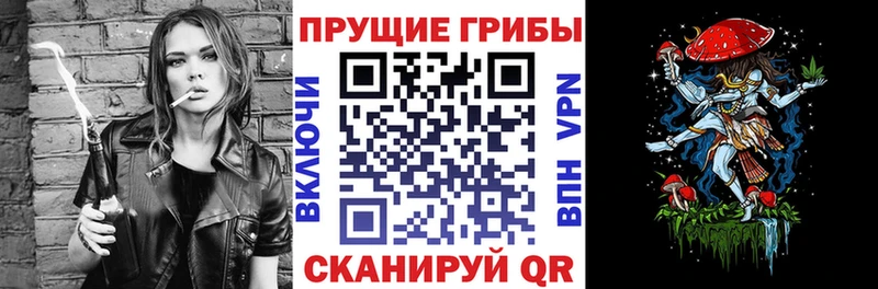 Псилоцибиновые грибы мицелий  что такое наркотик  Судогда 