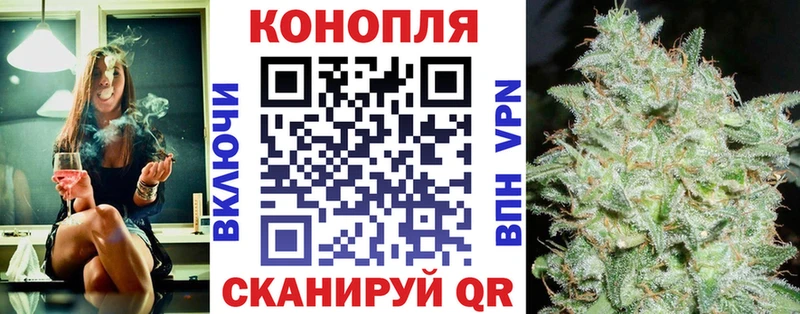 Каннабис VHQ  MEGA как зайти  Судогда 